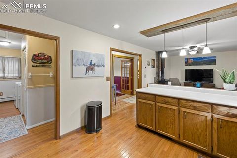 Tiny photo for 1110 Pikes Peak Drive, Florissant, CO 80816 (MLS # 3267749)