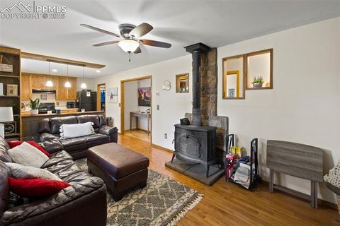 Tiny photo for 1110 Pikes Peak Drive, Florissant, CO 80816 (MLS # 3267749)