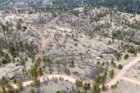 144 Chapparal Trail Florissant CO 80816