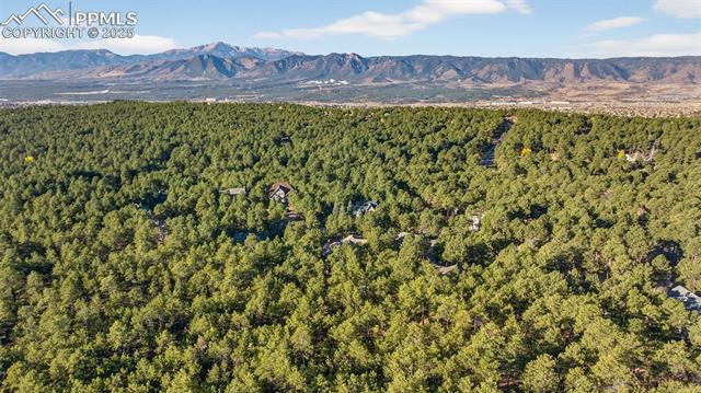 15765 Pineycove Court