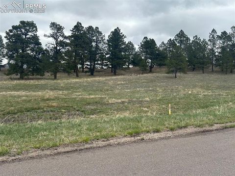 Photo of 11072 Mosey Trail, Colorado Springs, CO 80908 (MLS # 3832282) Photo of 11072 Mosey Trail, Colorado Springs, CO 80908 (MLS # 3832282)
