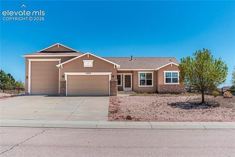 Photo of 11824 Black Hills Drive, Peyton, CO 80831 (MLS # 6369617)