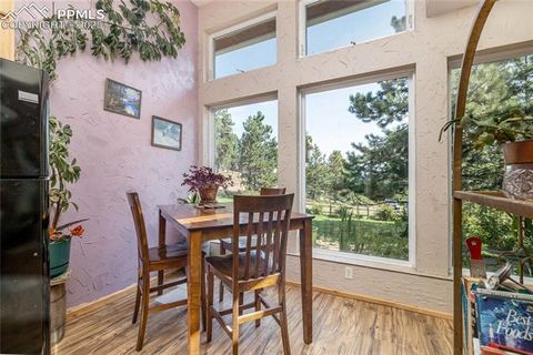 Tiny photo for 2493 County Road 782 Road, Woodland Park, CO 80863 (MLS # 7459021)