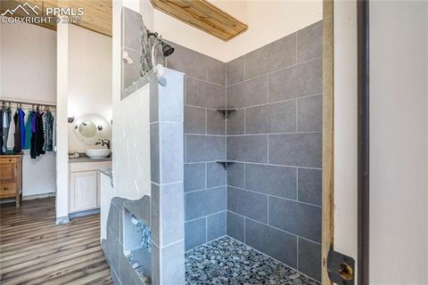 Tiny photo for 2493 County Road 782 Road, Woodland Park, CO 80863 (MLS # 7459021)