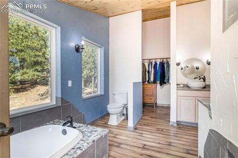 Tiny photo for 2493 County Road 782 Road, Woodland Park, CO 80863 (MLS # 7459021)
