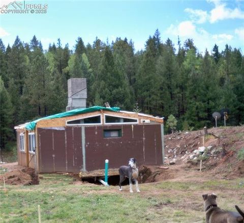 Tiny photo for 2493 County Road 782 Road, Woodland Park, CO 80863 (MLS # 7459021)
