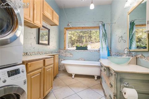 Tiny photo for 2493 County Road 782 Road, Woodland Park, CO 80863 (MLS # 7459021)