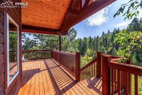 Tiny photo for 2493 County Road 782 Road, Woodland Park, CO 80863 (MLS # 7459021)