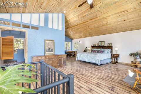 Tiny photo for 2493 County Road 782 Road, Woodland Park, CO 80863 (MLS # 7459021)