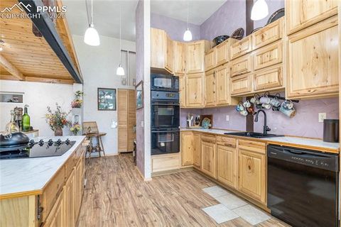 Tiny photo for 2493 County Road 782 Road, Woodland Park, CO 80863 (MLS # 7459021)