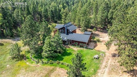 Tiny photo for 2493 County Road 782 Road, Woodland Park, CO 80863 (MLS # 7459021)