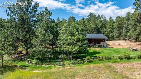 Tiny photo for 2493 County Road 782 Road, Woodland Park, CO 80863 (MLS # 7459021)