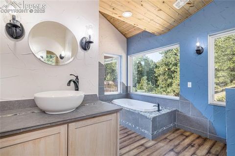 Tiny photo for 2493 County Road 782 Road, Woodland Park, CO 80863 (MLS # 7459021)
