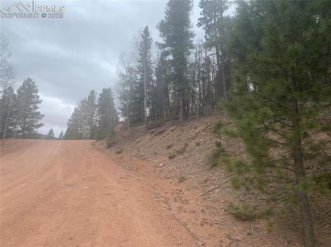 Photo of 243 Andes Road, Cripple Creek, CO 80813 (MLS # 2572095)