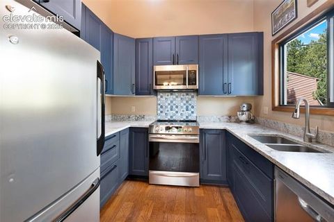 Tiny photo for 1231 W Midland Avenue, Woodland Park, CO 80863 (MLS # 5750331)
