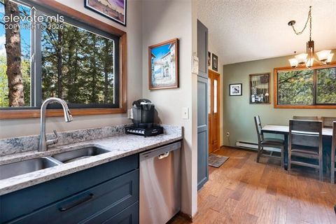 Tiny photo for 1231 W Midland Avenue, Woodland Park, CO 80863 (MLS # 5750331)