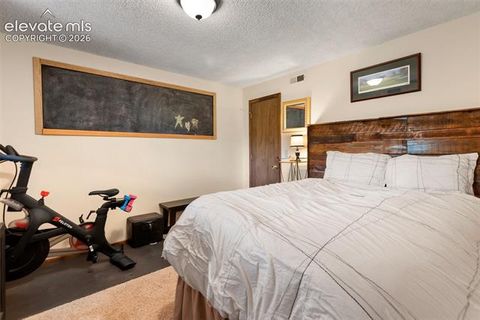 Tiny photo for 1231 W Midland Avenue, Woodland Park, CO 80863 (MLS # 5750331)