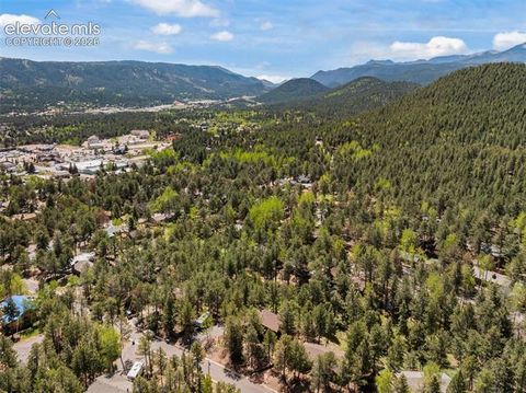 Tiny photo for 1231 W Midland Avenue, Woodland Park, CO 80863 (MLS # 5750331)