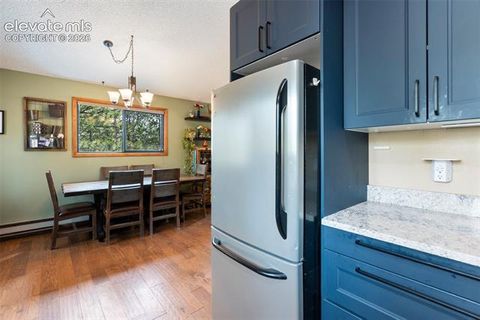 Tiny photo for 1231 W Midland Avenue, Woodland Park, CO 80863 (MLS # 5750331)
