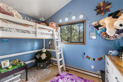 Tiny photo for 1231 W Midland Avenue, Woodland Park, CO 80863 (MLS # 5750331)
