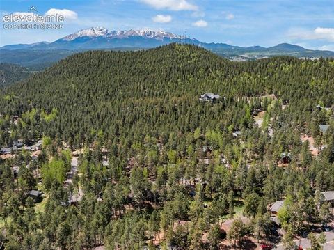 Tiny photo for 1231 W Midland Avenue, Woodland Park, CO 80863 (MLS # 5750331)