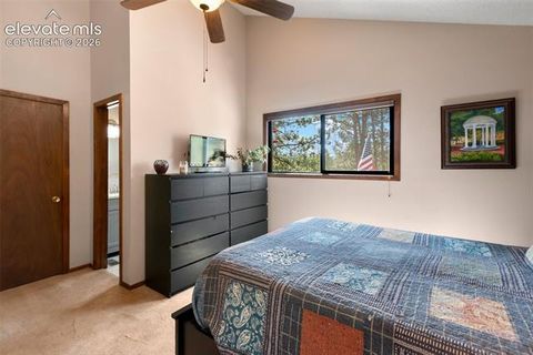 Tiny photo for 1231 W Midland Avenue, Woodland Park, CO 80863 (MLS # 5750331)