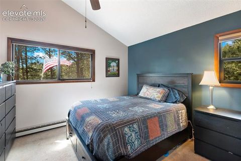 Tiny photo for 1231 W Midland Avenue, Woodland Park, CO 80863 (MLS # 5750331)