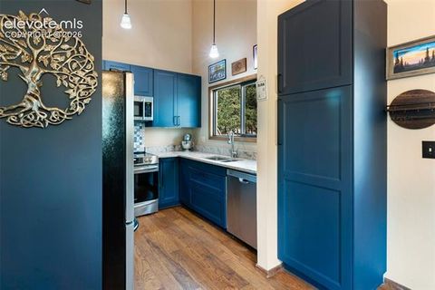 Tiny photo for 1231 W Midland Avenue, Woodland Park, CO 80863 (MLS # 5750331)