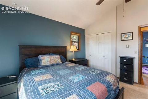 Tiny photo for 1231 W Midland Avenue, Woodland Park, CO 80863 (MLS # 5750331)