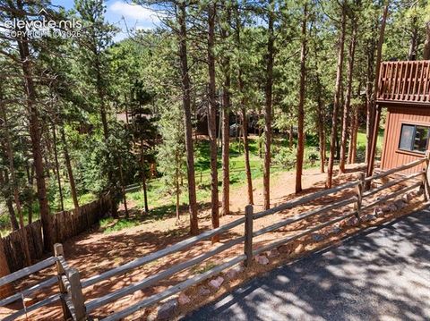 Tiny photo for 1231 W Midland Avenue, Woodland Park, CO 80863 (MLS # 5750331)