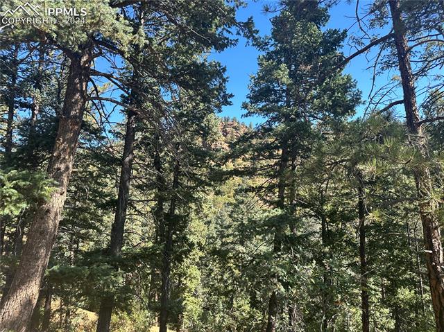 270 Upper Sun Valley Road