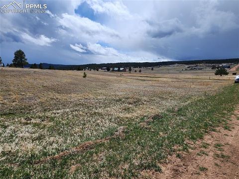 Photo of 714 Empire Road, Florissant, CO 80816 (MLS # 5731755)