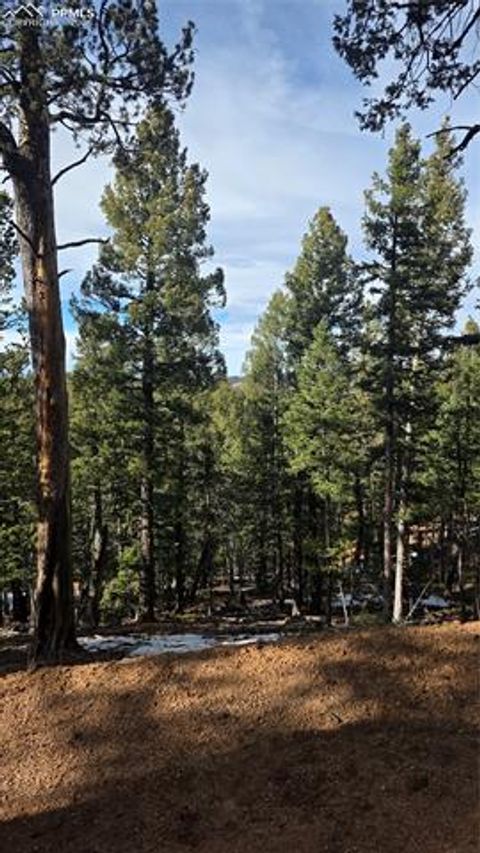 Photo of 321 Tillicum Trail, Woodland Park, CO 80863 (MLS # 7614076)