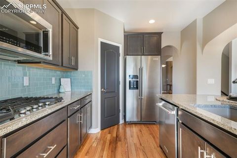 Tiny photo for 1515 Coronado Beach Drive, Monument, CO 80132 (MLS # 9356928)