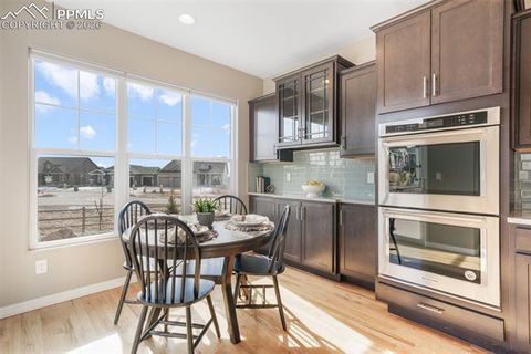 Tiny photo for 1515 Coronado Beach Drive, Monument, CO 80132 (MLS # 9356928)