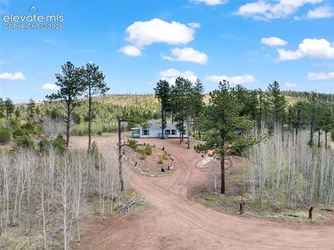 Photo of 100 Wolverine Drive, Florissant, CO 80816 (MLS # 7634996)