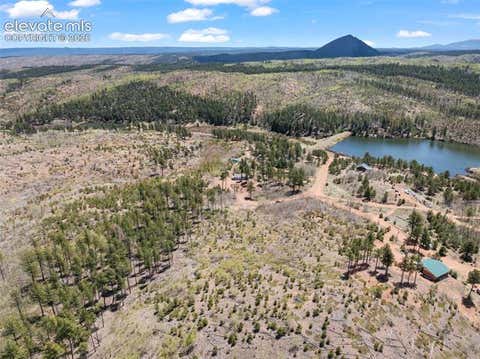 Tiny photo for 100 Wolverine Drive, Florissant, CO 80816 (MLS # 7634996)