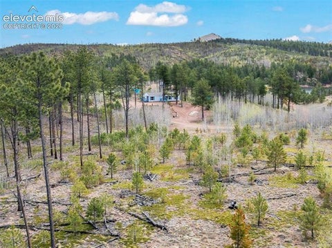 Tiny photo for 100 Wolverine Drive, Florissant, CO 80816 (MLS # 7634996)
