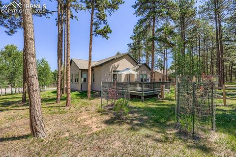 Tiny photo for 1163 Ptarmigan Drive, Woodland Park, CO 80863 (MLS # 9434898)