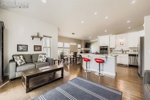 Tiny photo for 1163 Ptarmigan Drive, Woodland Park, CO 80863 (MLS # 9434898)
