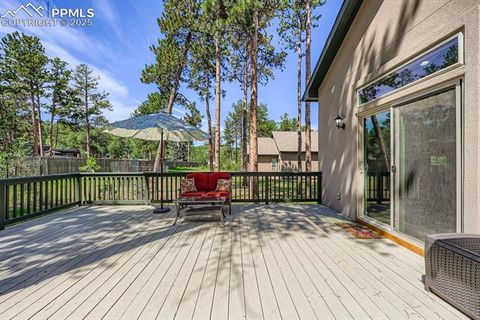Tiny photo for 1163 Ptarmigan Drive, Woodland Park, CO 80863 (MLS # 9434898)