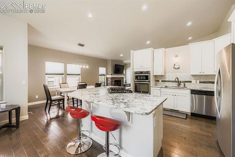 Tiny photo for 1163 Ptarmigan Drive, Woodland Park, CO 80863 (MLS # 9434898)