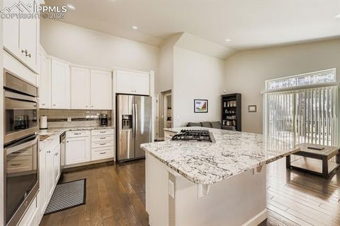 Tiny photo for 1163 Ptarmigan Drive, Woodland Park, CO 80863 (MLS # 9434898)