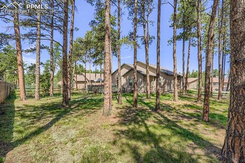 Tiny photo for 1163 Ptarmigan Drive, Woodland Park, CO 80863 (MLS # 9434898)