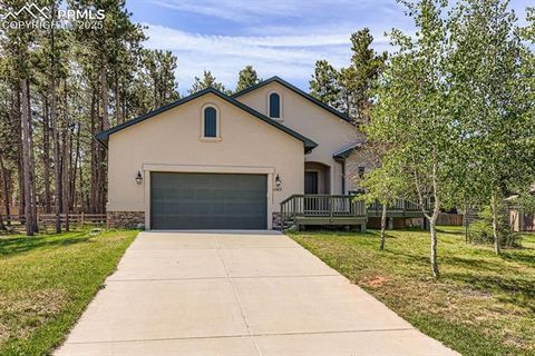 Photo of 1163 Ptarmigan Drive, Woodland Park, CO 80863 (MLS # 9434898)