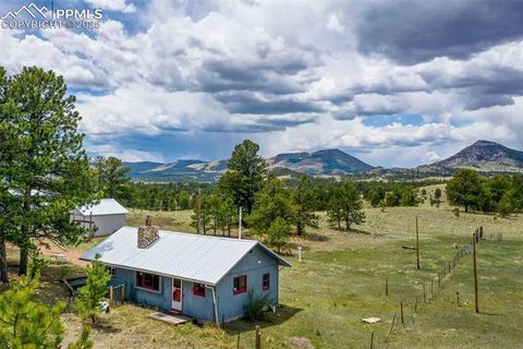 949 Doe Valley Road Guffey CO 80820