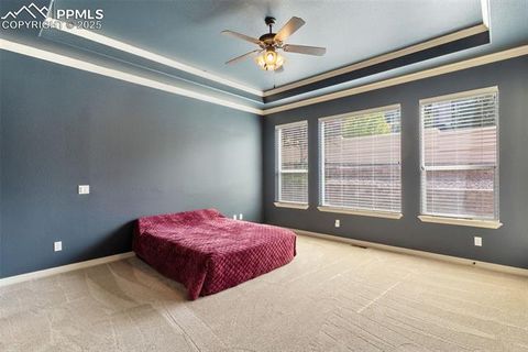 Tiny photo for 2479 Pine Valley View, Colorado Springs, CO 80920 (MLS # 8831577)