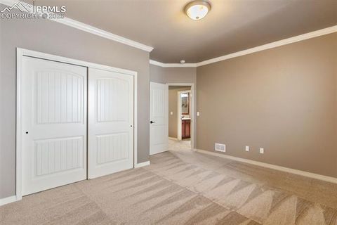 Tiny photo for 2479 Pine Valley View, Colorado Springs, CO 80920 (MLS # 8831577)