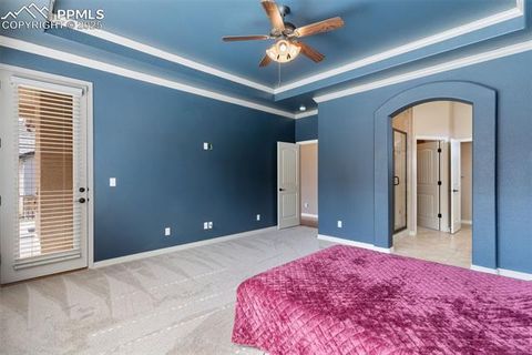 Tiny photo for 2479 Pine Valley View, Colorado Springs, CO 80920 (MLS # 8831577)