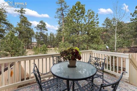 Tiny photo for 742 Westwood Trace, Woodland Park, CO 80863 (MLS # 2187665)